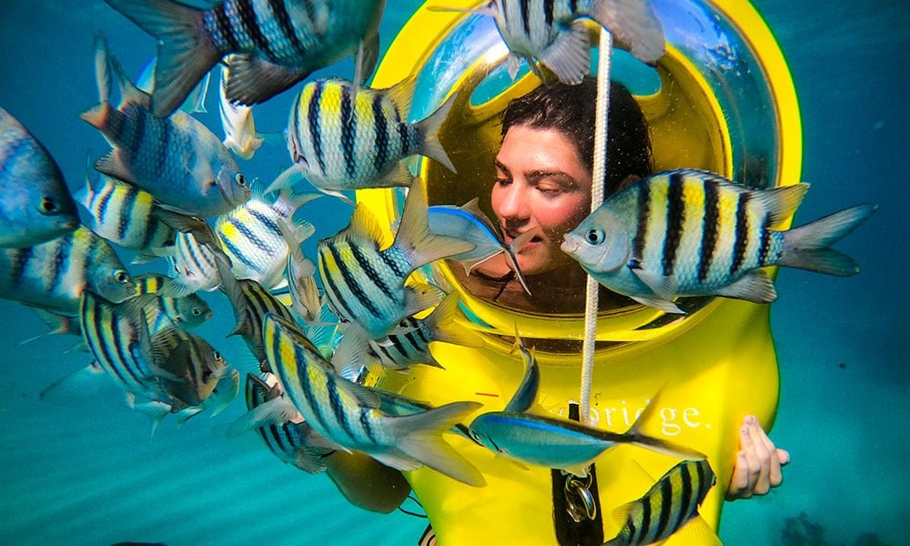 Scuba Doo Diving Excursion in Bavaro.