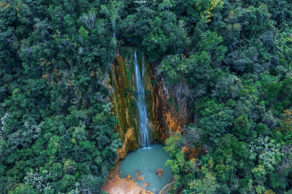 Samana Eco Discovery Tour from Bavaro, Punta Cana Dominican Republic.